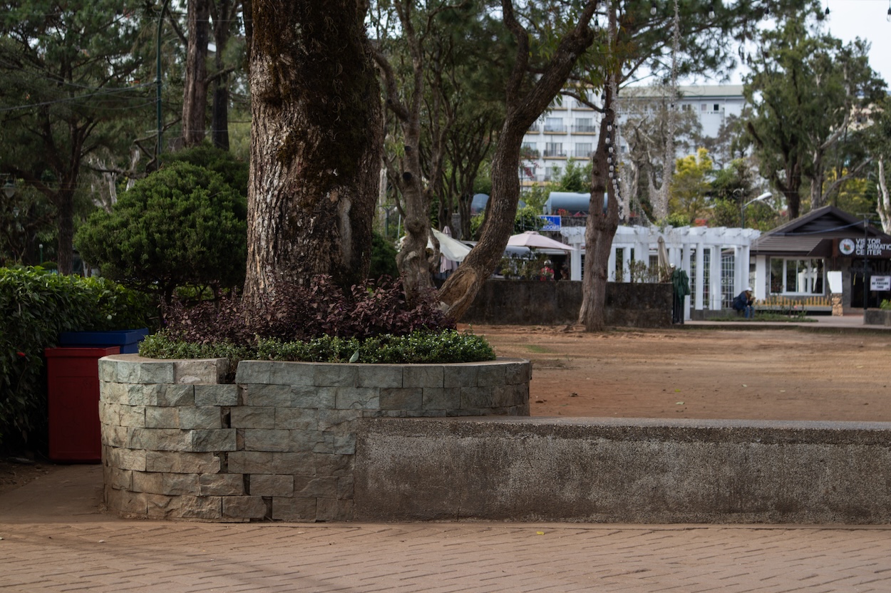 Concrete bench with a nearby tree