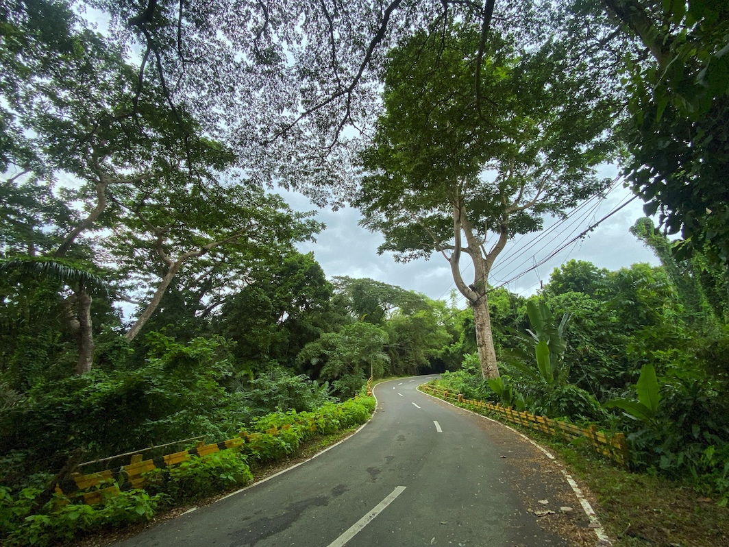 The road to IRRI housing