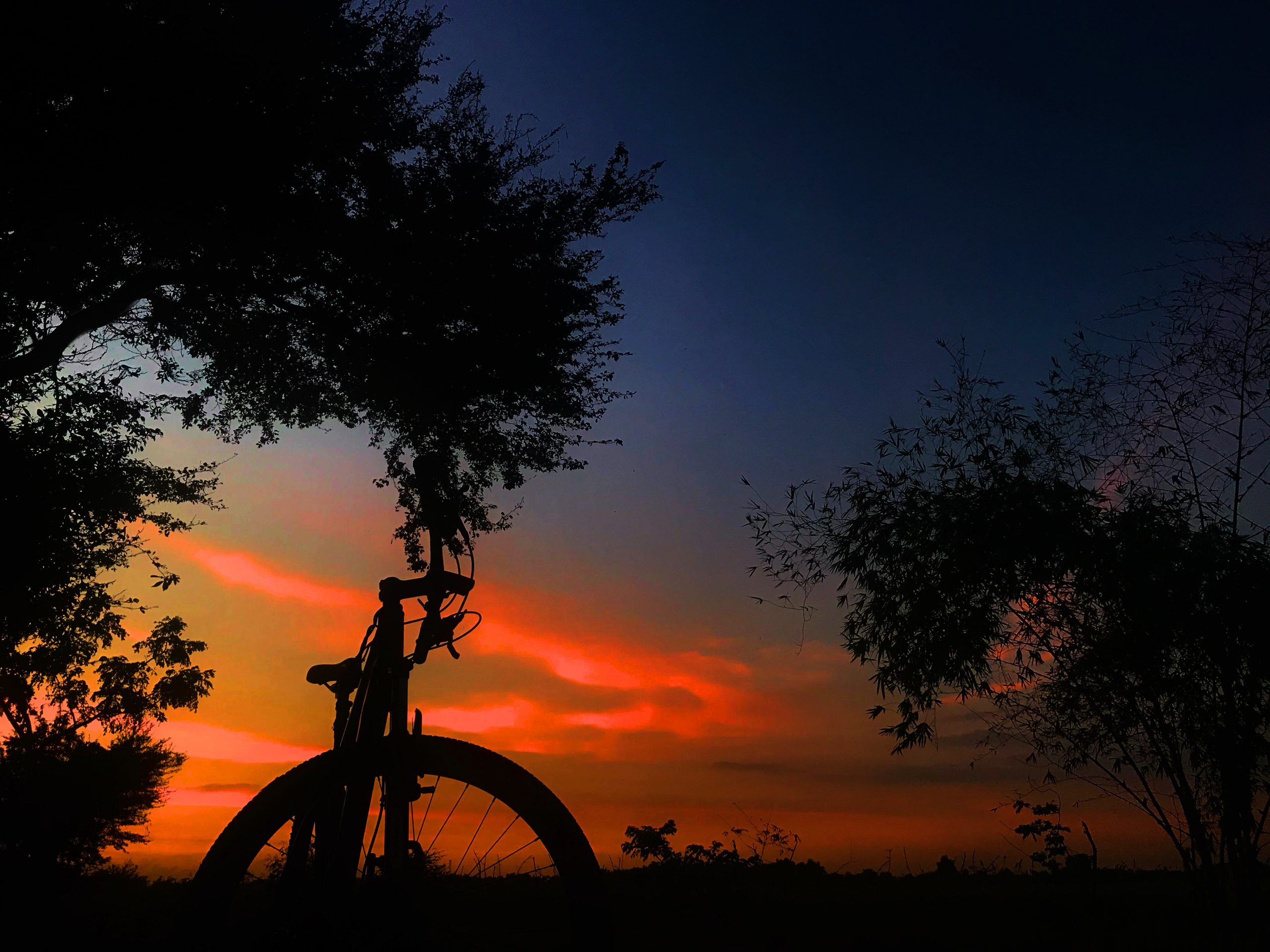 Bike and shadows