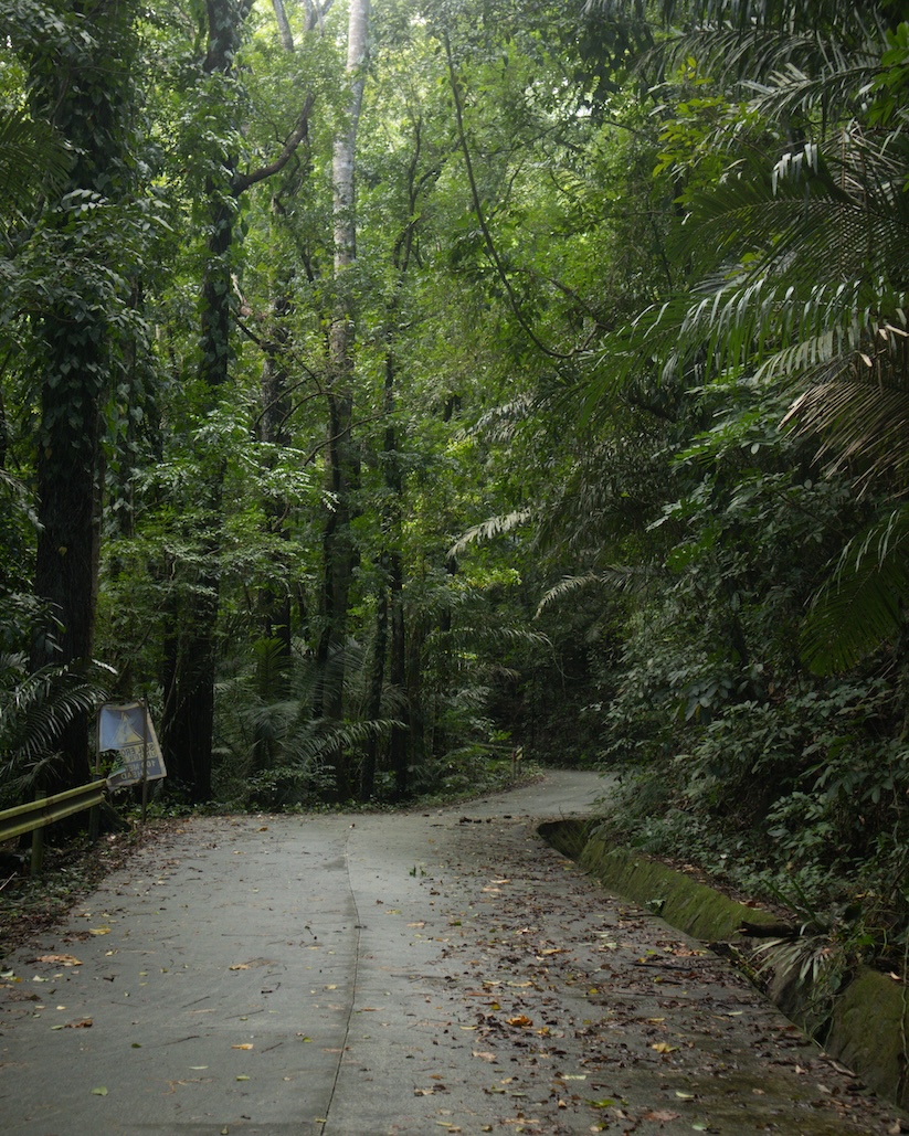 Bagon Silang trail