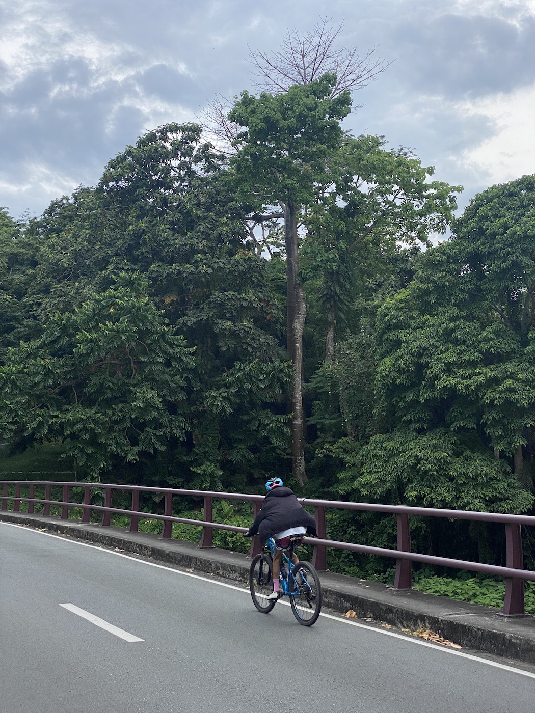 A biker crossing the bridge