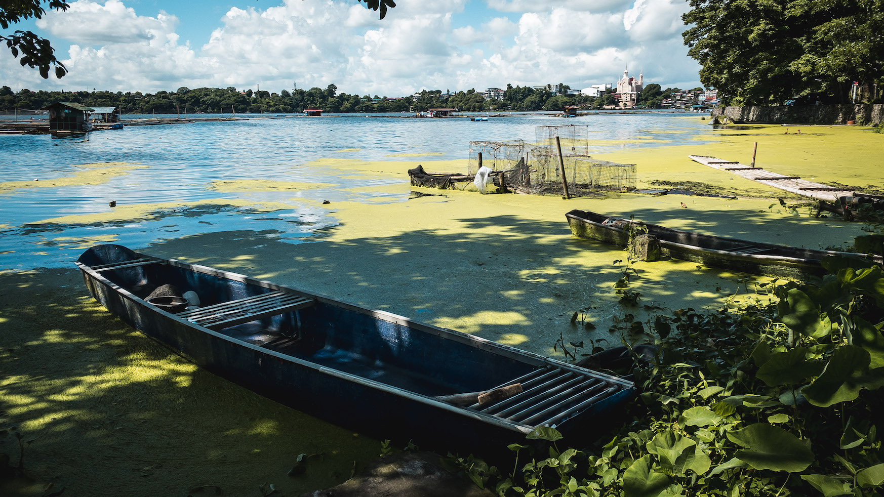 A blue boat among green algae