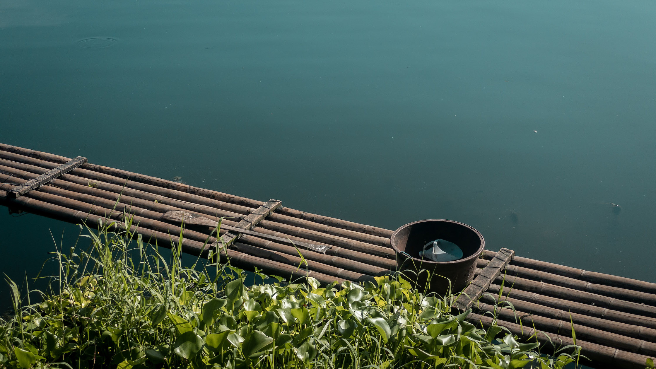 A bucket left on a raft at Sampaloc lake