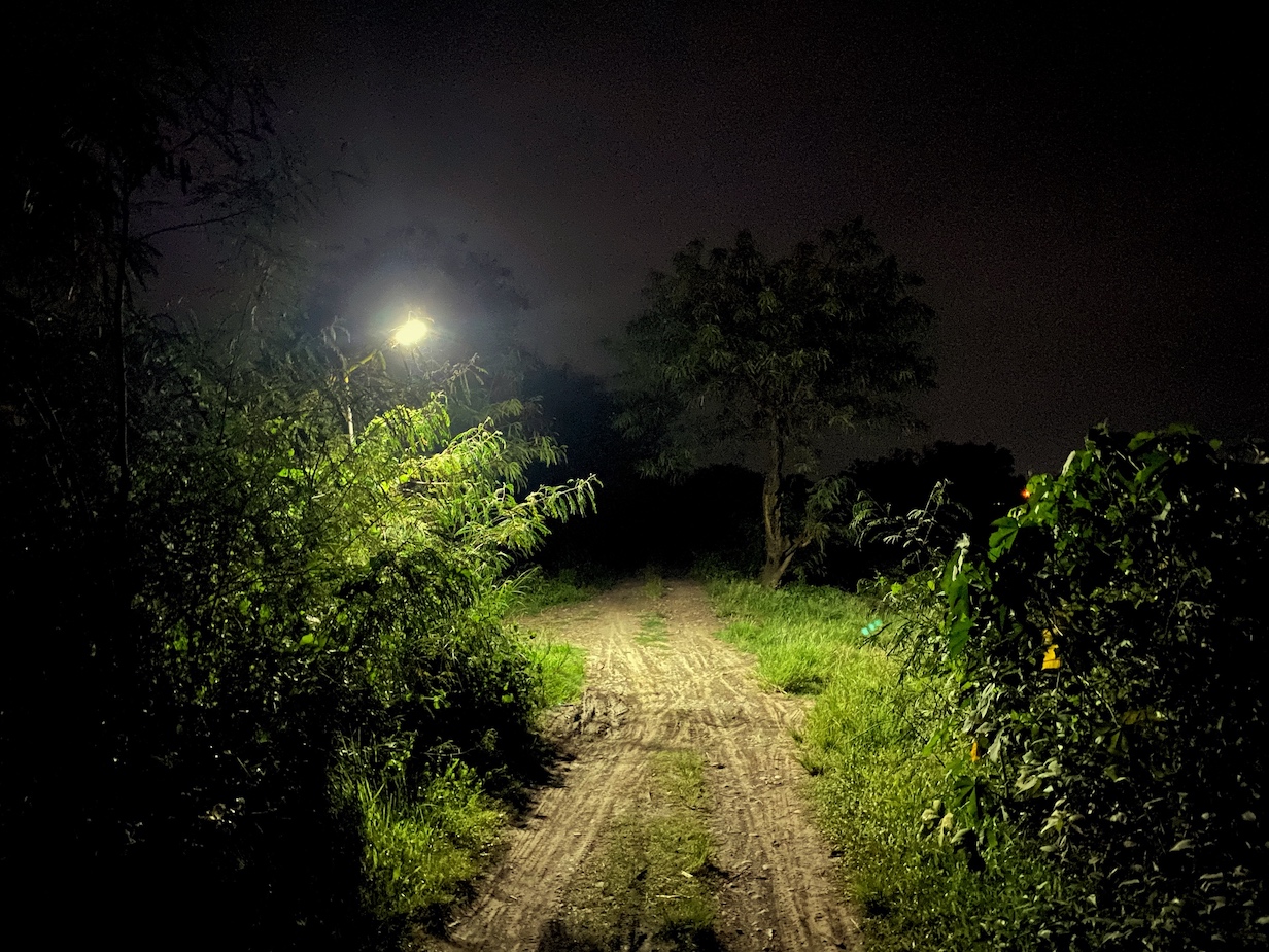 Evening at irrigation road