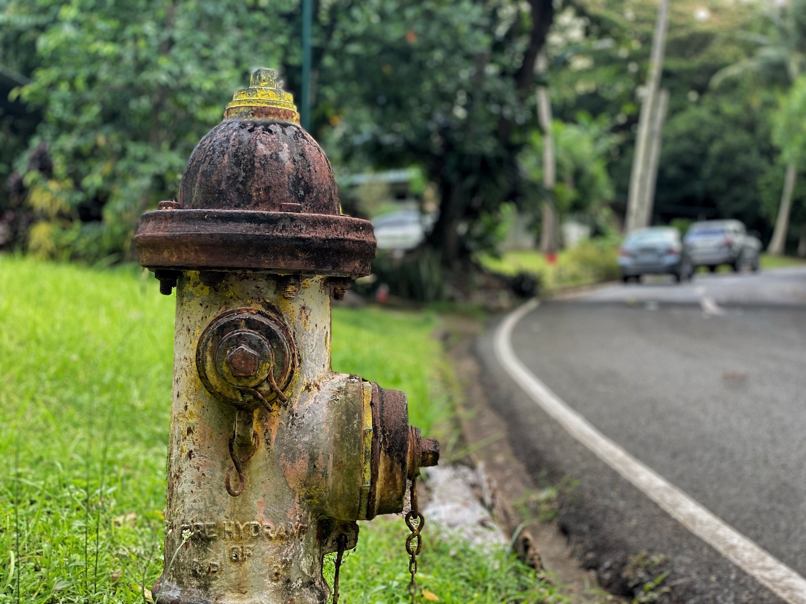 Fire hydrant