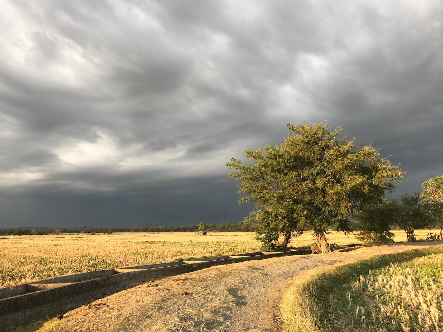 Cloudy Skies and a Path