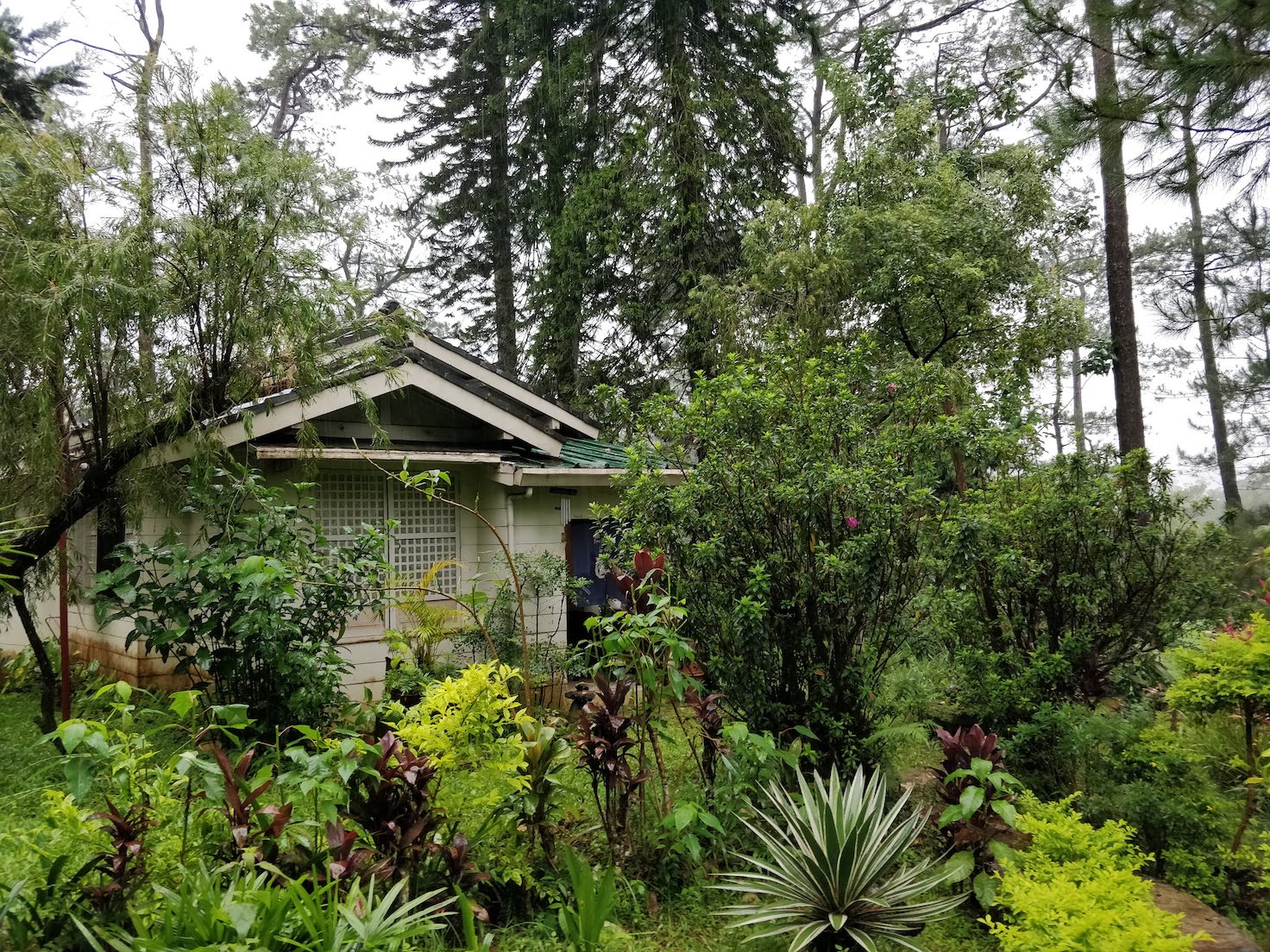 The Tea House Zendo at Baguio