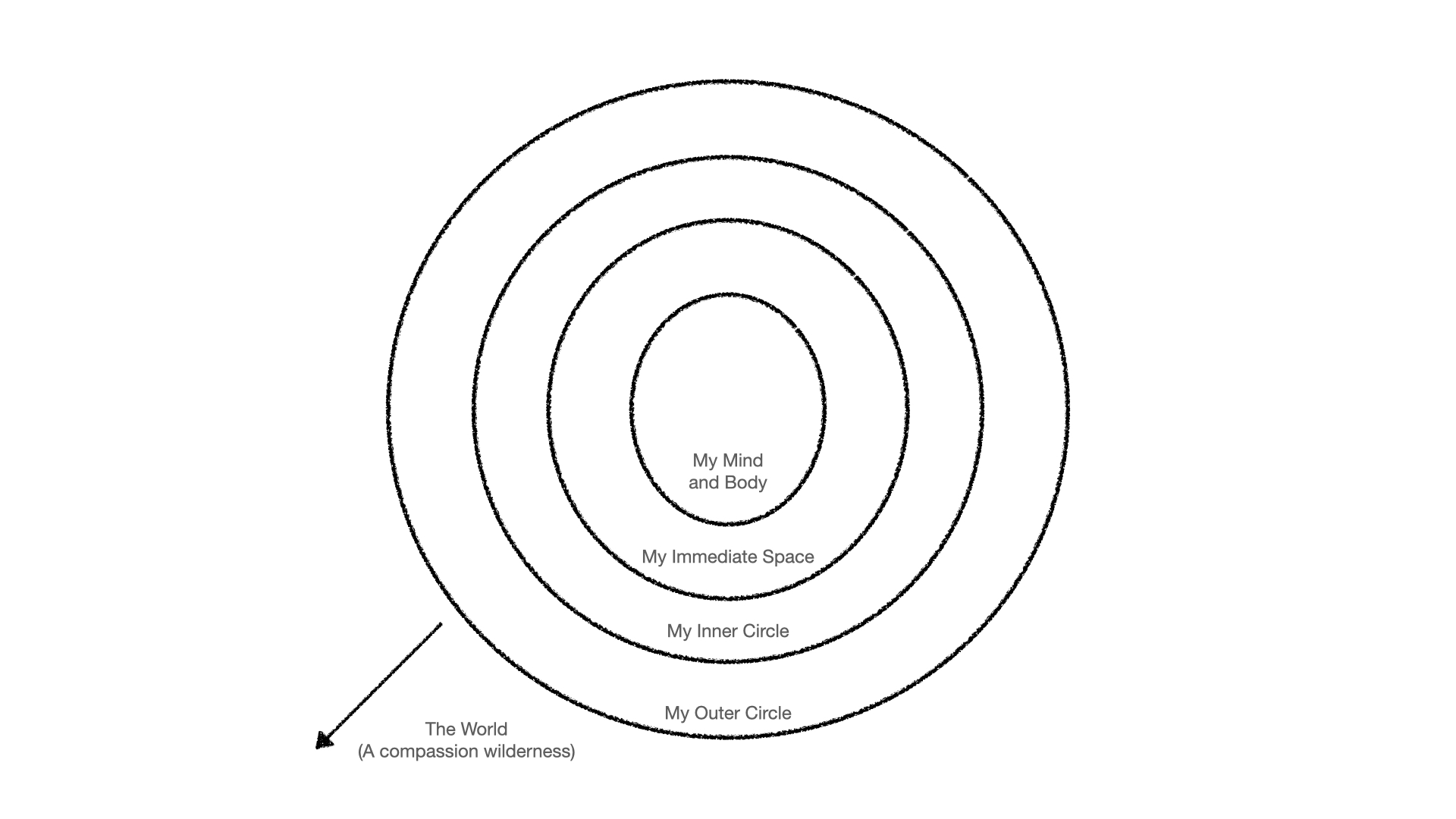 Life circles.jpeg