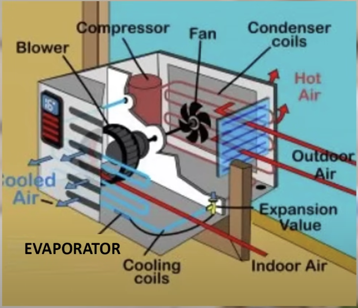 Screenshot 2025-01-18 at 9.55.10 PM.png