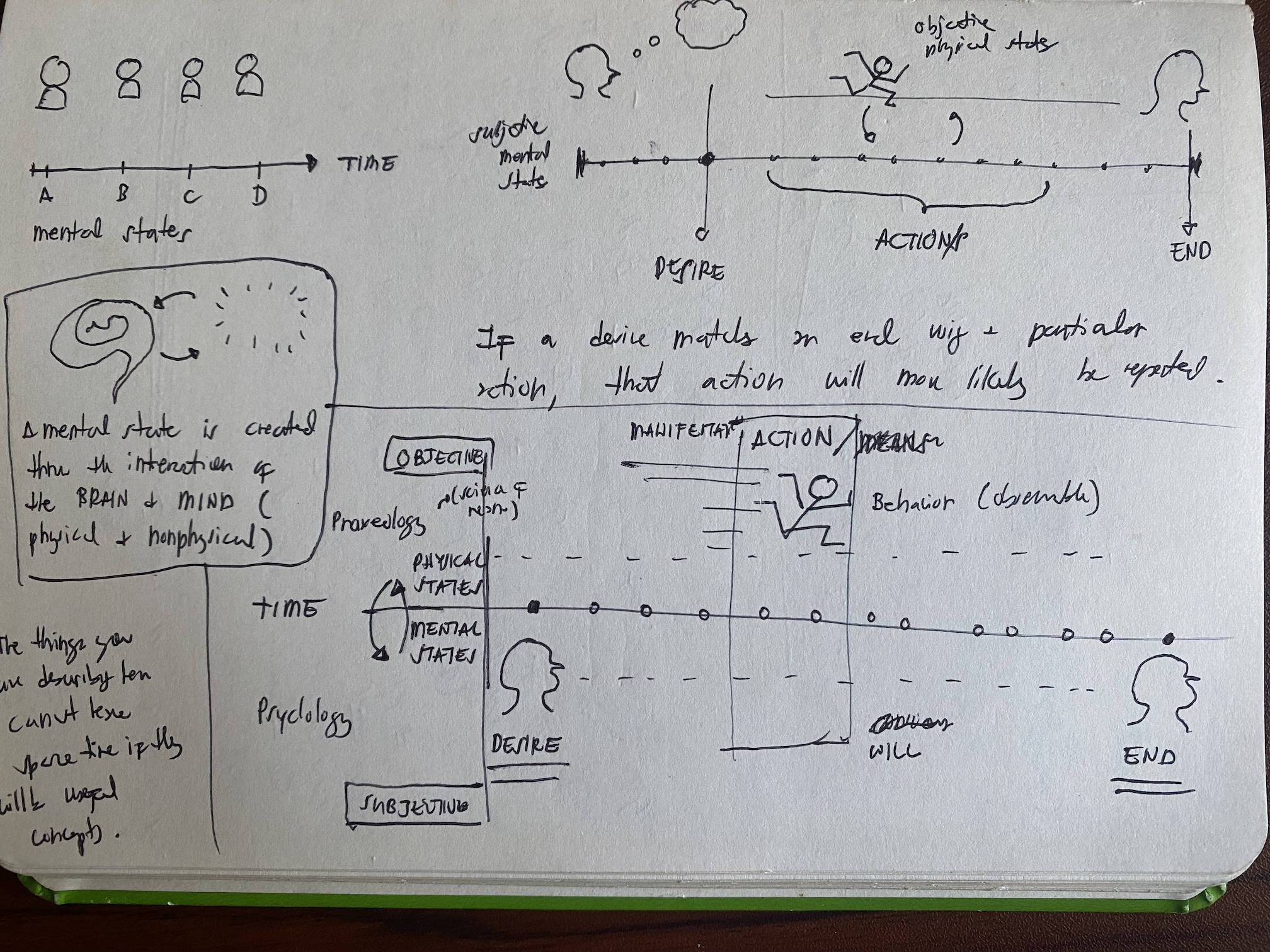 mechanics-of-action.jpeg
